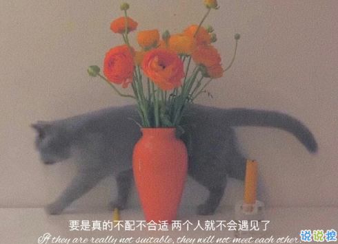 2021好好生活的治愈文案 很治愈内心的温柔文案