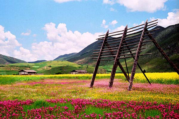 盛夏时节的唯美短句