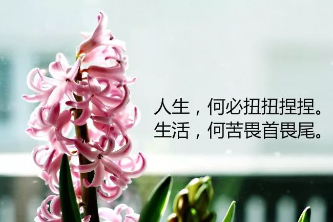 富有哲理写进心坎的朋友圈句子 句句走心的哲理精辟文案