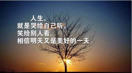 10句致自己简短励志的话，你若盛开，蝴蝶自来，你若精彩，天自安排