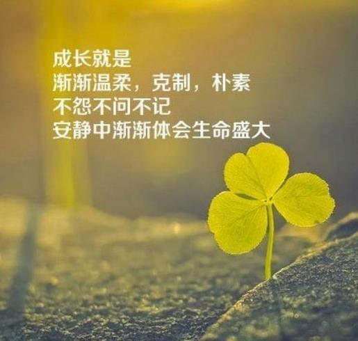励志说说致自己 励志搞笑说说