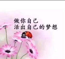抖音简短精辟的句子，2020抖音火爆句子，抖音最火的唯美句子