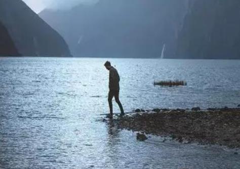 鱼那么信任水，水却煮了鱼！，哲理句子句句灼心