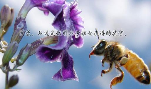 每日奋斗拼搏正能量句子短语说说，送给奋斗在工作学习上的人！
