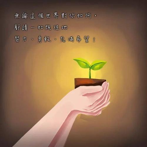 微商正能量语录在哪里可以找到