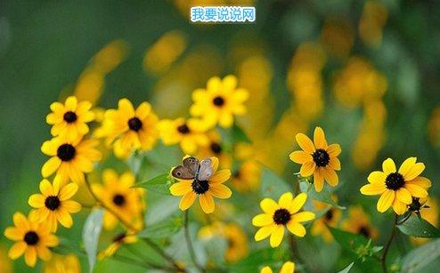网络个性昵称简单大气 简约大气的qq网名