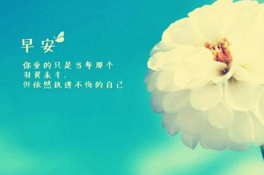 早安励志语，鼓励自己的早安心灵鸡汤励志的话，励志句子