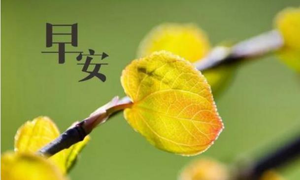 早安情感心语正能量，美好的一天早安的说说。