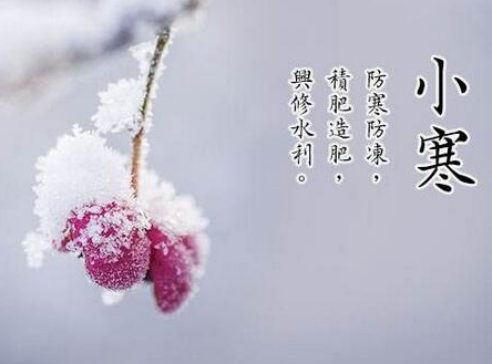24节气小寒祝福语