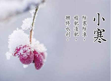 24节气小寒祝福语