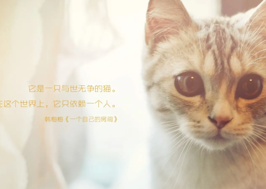 最让人心疼的伤感句子