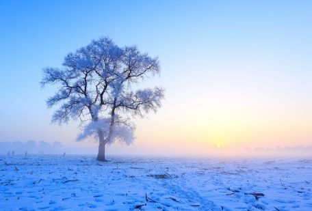 简单一句话下雪了说说最新 下雪天微信朋友圈说说心情短语