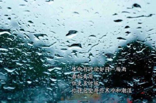 少年不识愁滋味