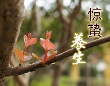 惊蛰时节最暖心的微信祝福语 2021惊蛰简短祝福语说说27句
