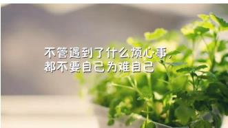 2020抖音火爆句子，2020年最走心的经典句子，2020致自己的句子精辟的话