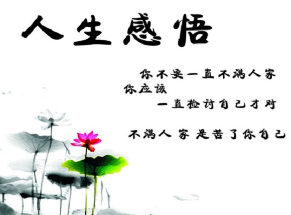 生活感悟经典句子简短