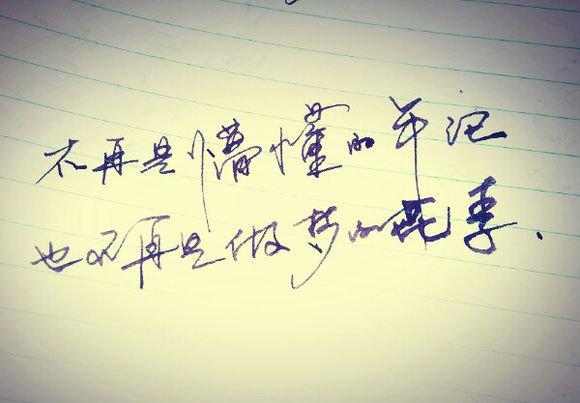 生活感悟经典句子简短