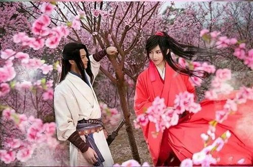 涿浪飞花