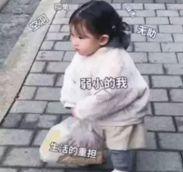 周末野炊朋友圈文案
