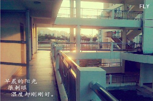 毕业季，对不起