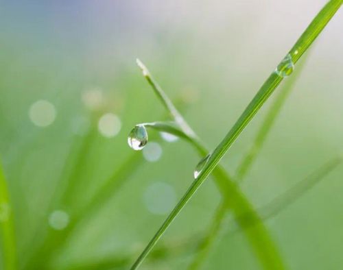 2021雨水节气发朋友圈的祝福语 二十四节气雨水的早安说说29句