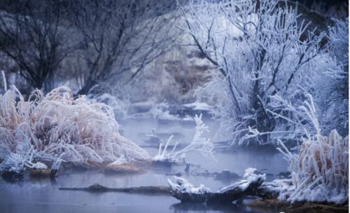 下雪说说心情短语第一场下雪的说说43句