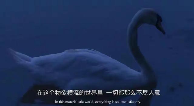 情感图片高级文案(情感文案的图片)