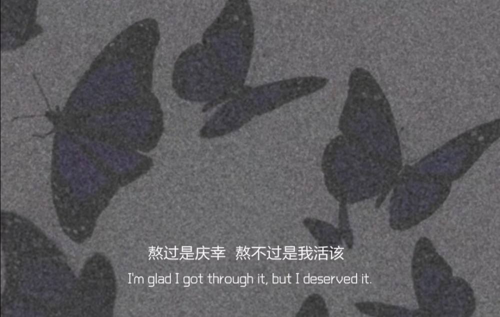 dv情感文案