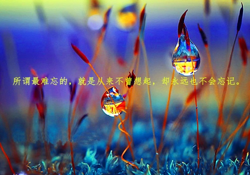我真的好想一睡不醒的说说26句