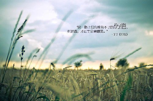 让你暖心的二十五条经典修性格言