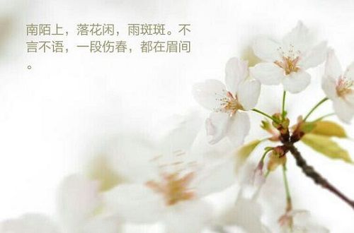 我的心事，春可安慰？