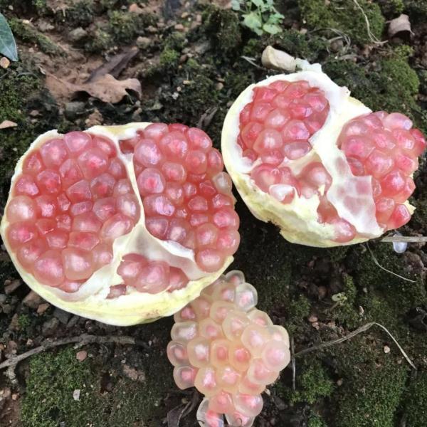 蒙自婚纱文案励志(婚纱照朋友圈文案)