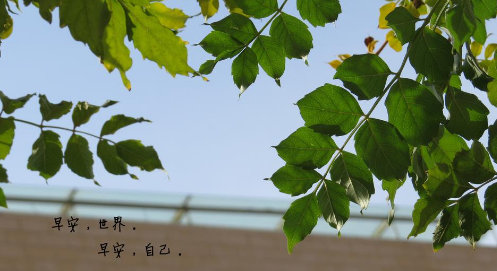 早上好图片带字句子正能量精选