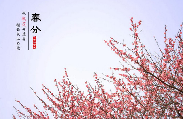 春分节气的古诗