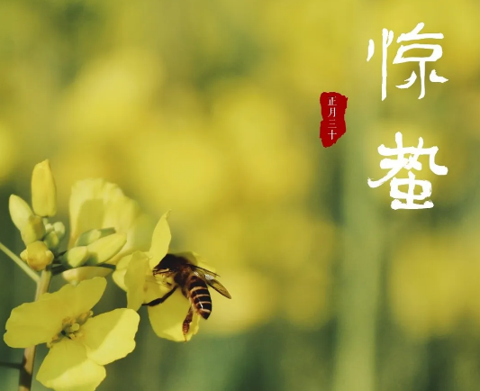 关于惊蛰的诗句