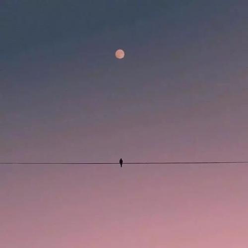 温柔的星河图片