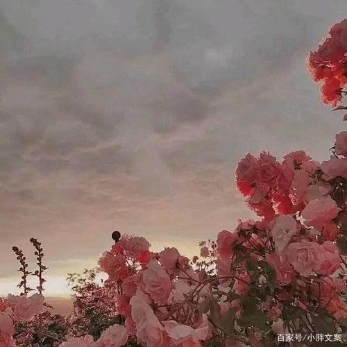 超级温柔的文字背景图