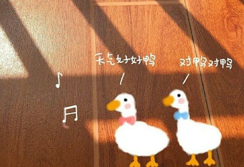 萌萌哒简短的超甜昵称两个字 皮一点又蛮可爱的网名二字网名