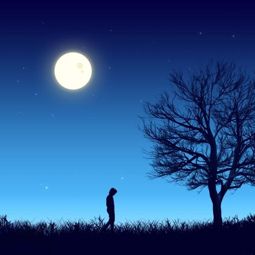 比星辰大海还温柔的句子遇见你