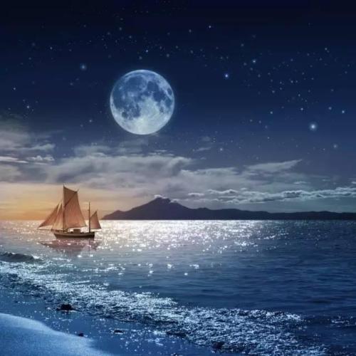 比星辰大海还温柔的句子遇见你