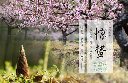 惊蛰微信祝福图片