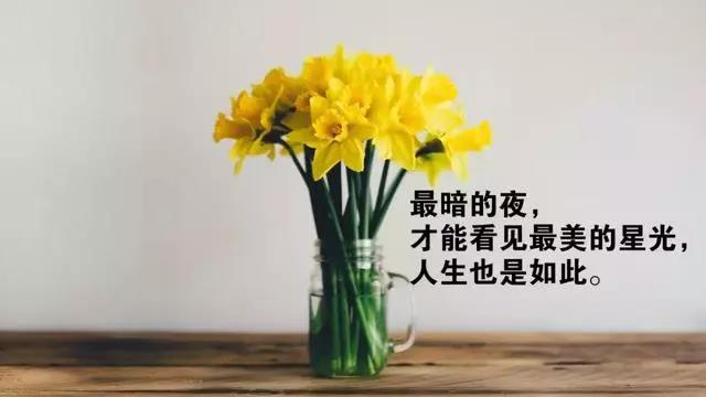 生活感悟的心灵鸡汤句子