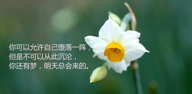 人生感悟的句子简短的 句句精辟现实