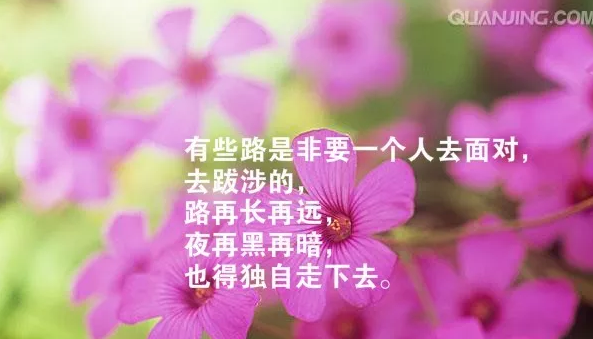 人生感悟的句子简短的 句句精辟现实