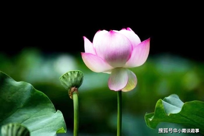 大彻大悟的10精美句子 简短精辟的句子太绝了