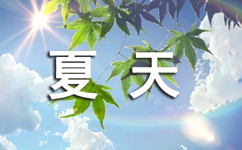 蔷薇花开的夏天诗歌