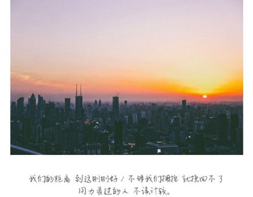 感悟爱情的句子