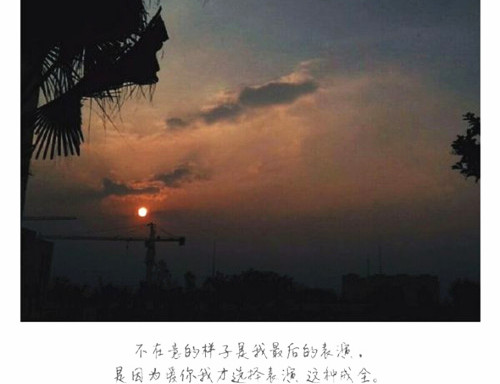 感悟爱情的句子