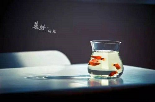 生活美好的12个理由