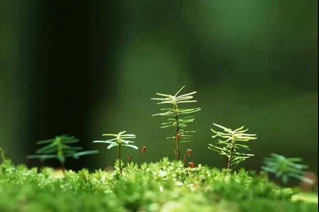 一个人生病感悟的句子